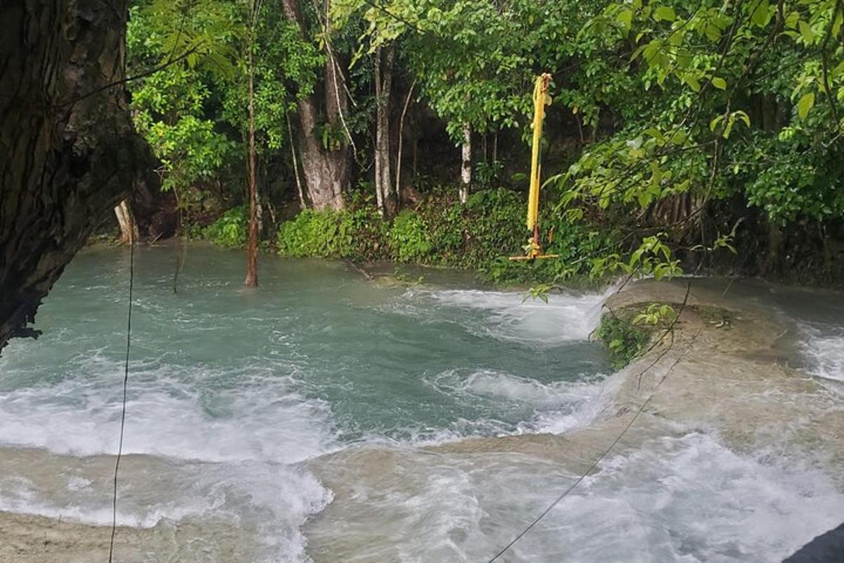 un río con rápidos en medio de un bosque