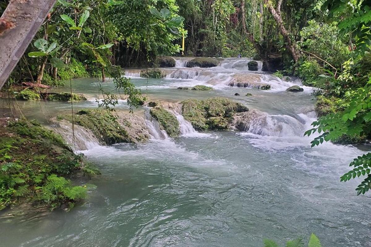 un río con cascadas en medio de un bosque
