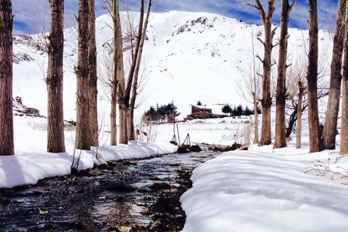 un ruscello nella neve con alberi e una montagna