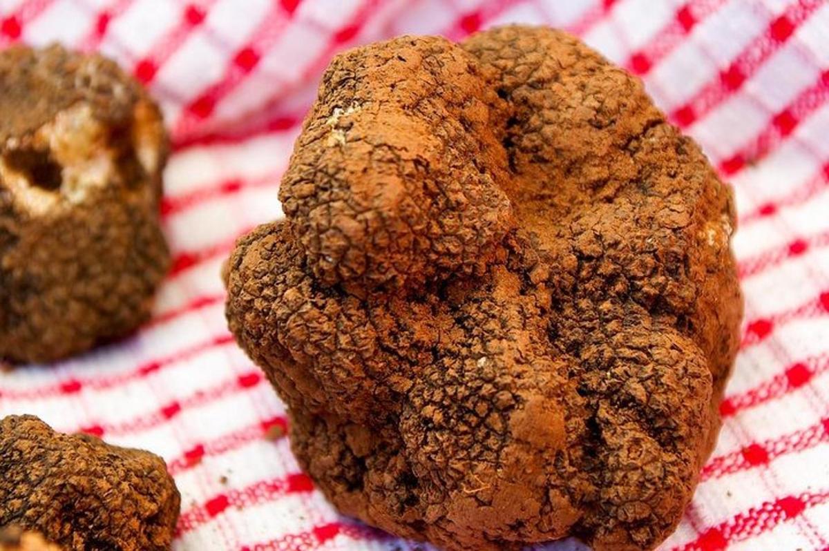 tři smažená jídla na červenobílém kostkovaném ubrusu