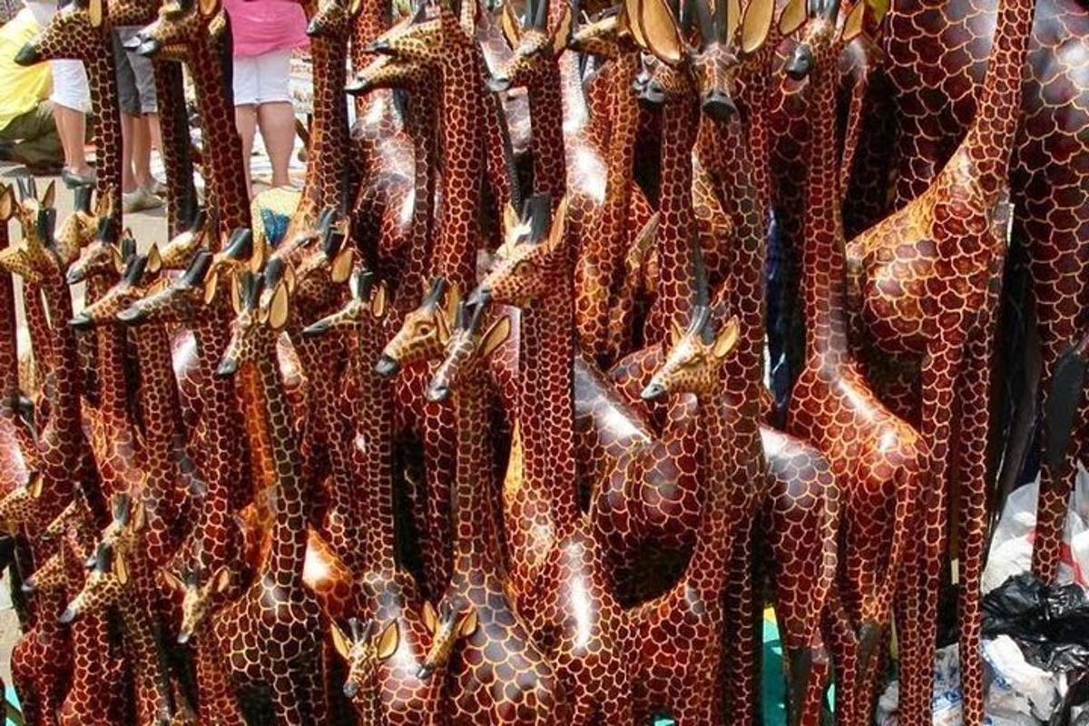 Un grupo de jirafas colgando de una red