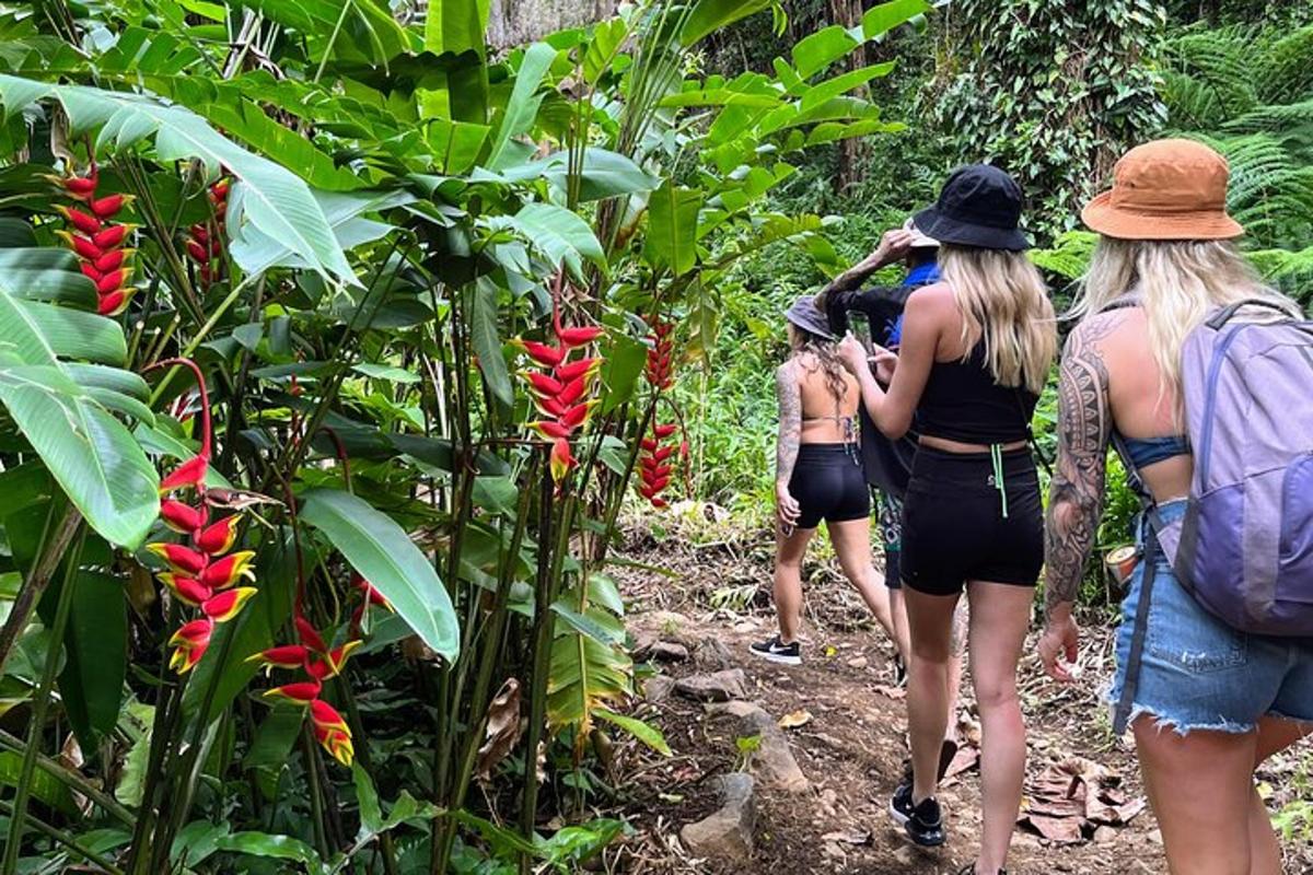 sekumpulan orang berjalan menyusuri denai di dalam hutan