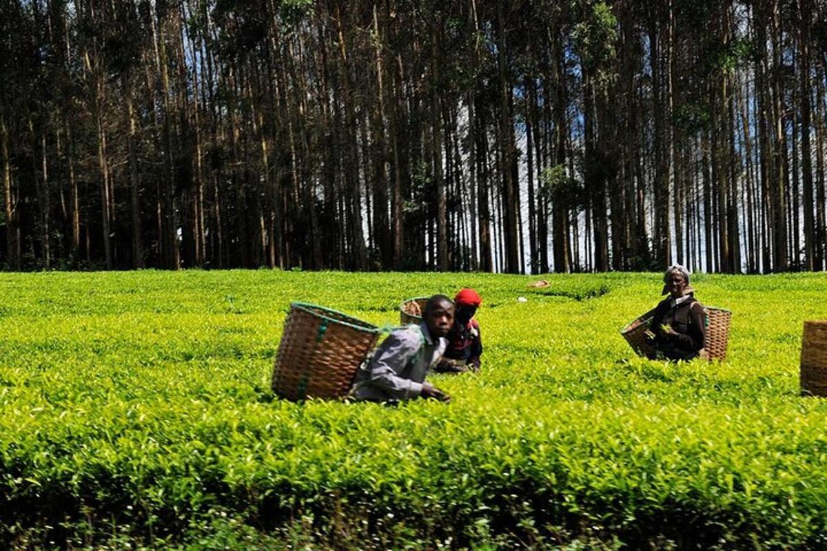 three people sitting in the grass in a field