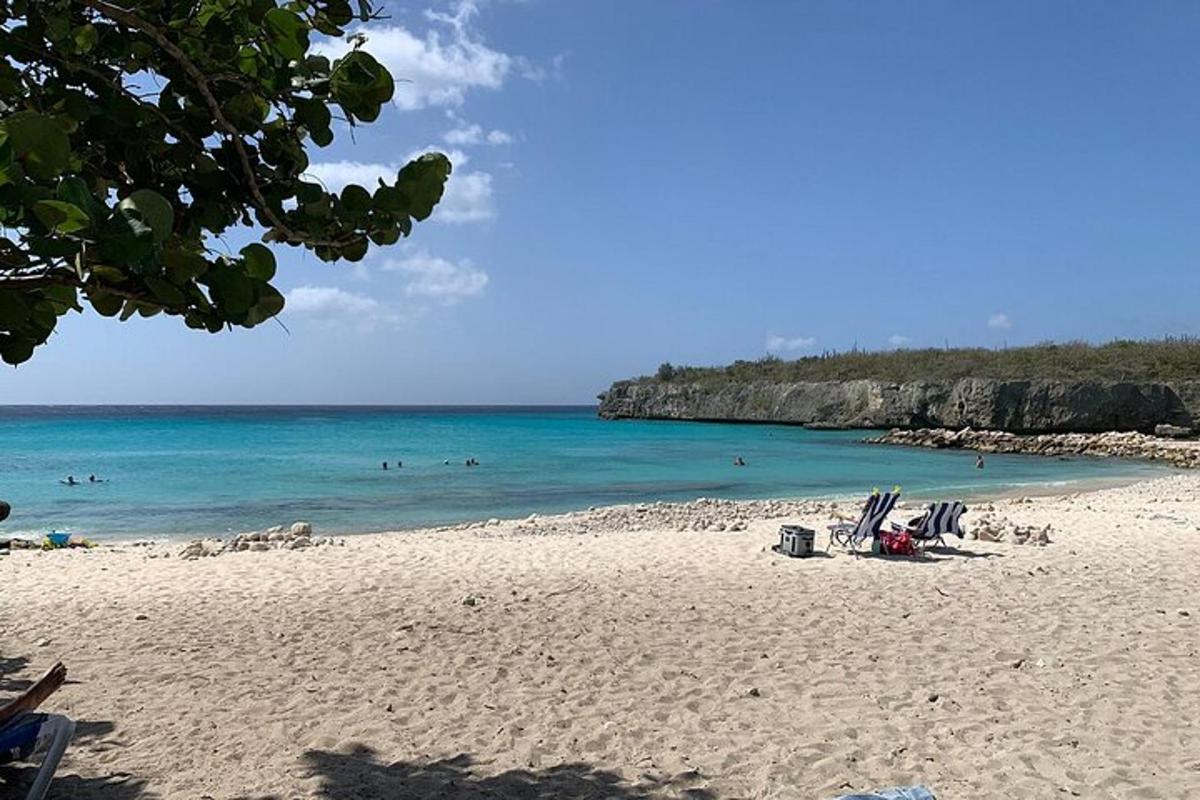 a beach with chairs and people swimming in the ocean