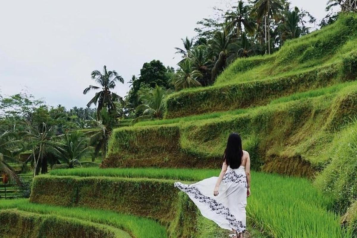 một người phụ nữ đang đi bộ qua cánh đồng với một chiếc ô