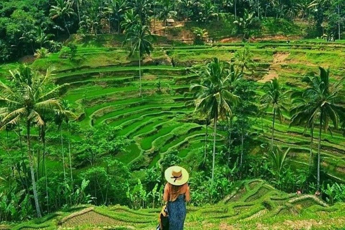 seorang yang bertopi jerami melihat padang hijau