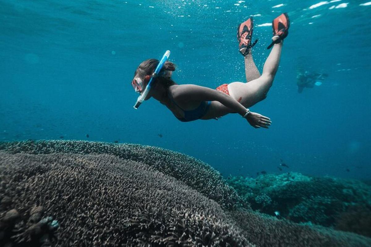 a woman is diving in the water near a reef