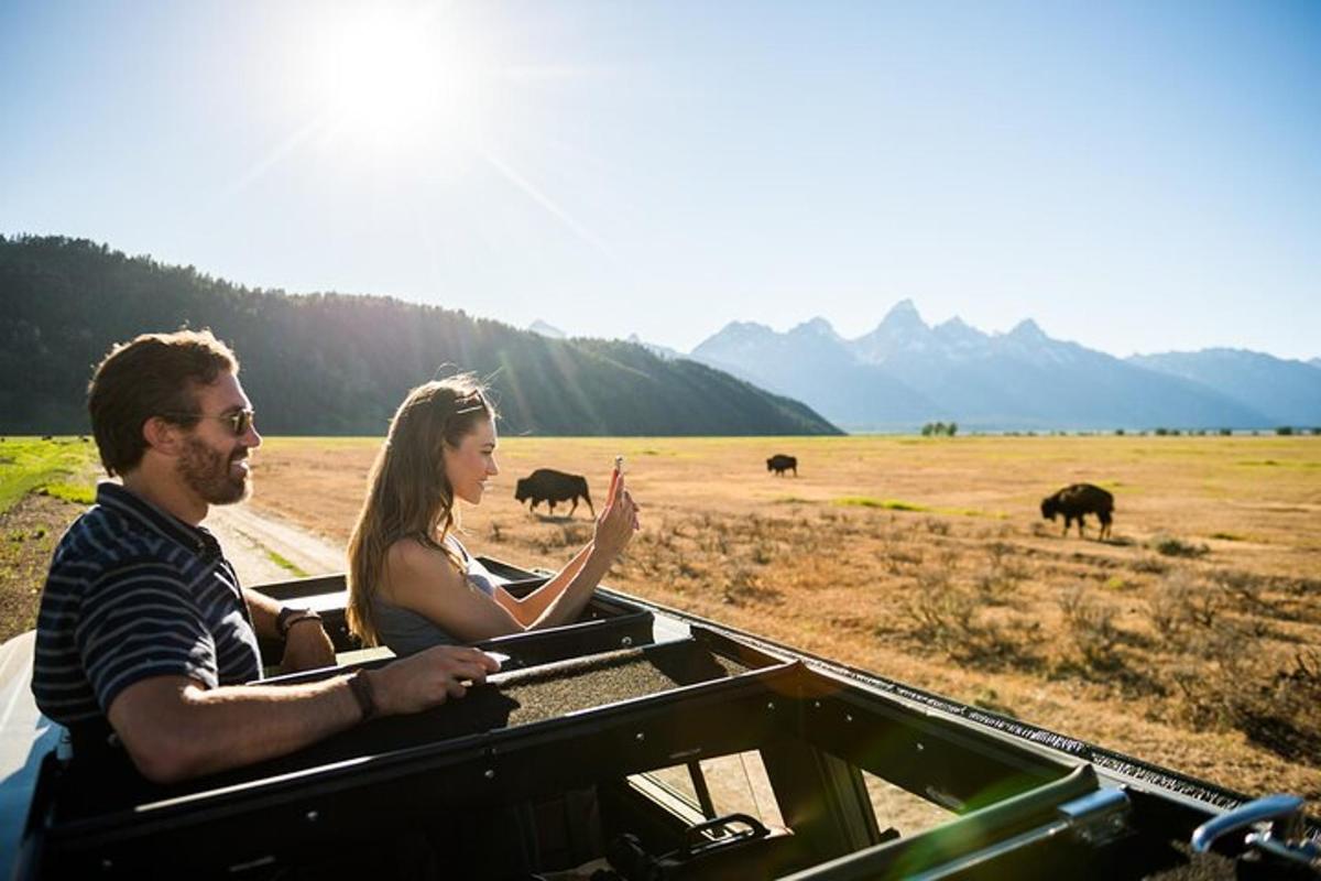 a man and woman in a jeep looking at elephants in a field