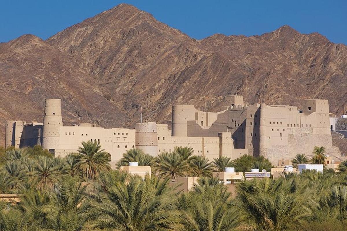 a large building with palm trees in front of a mountain