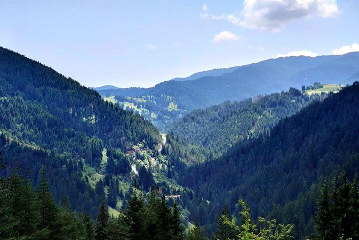 a view of a mountain valley with trees