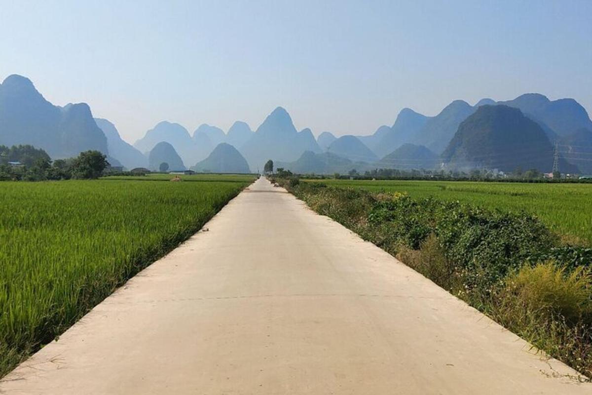 a dirt road through a field with mountains in the background