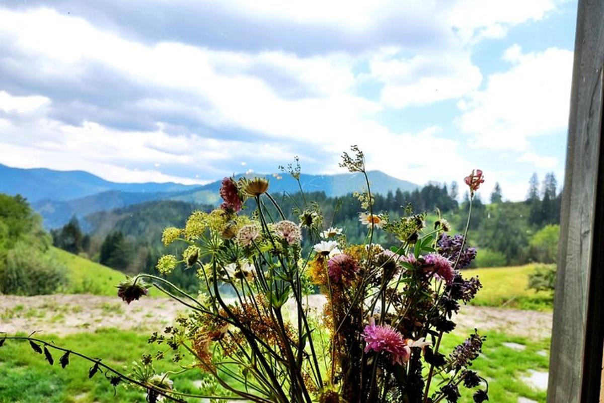 a window with a view of a field of flowers