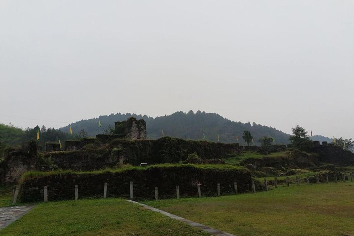 a field with a castle on top of a hill
