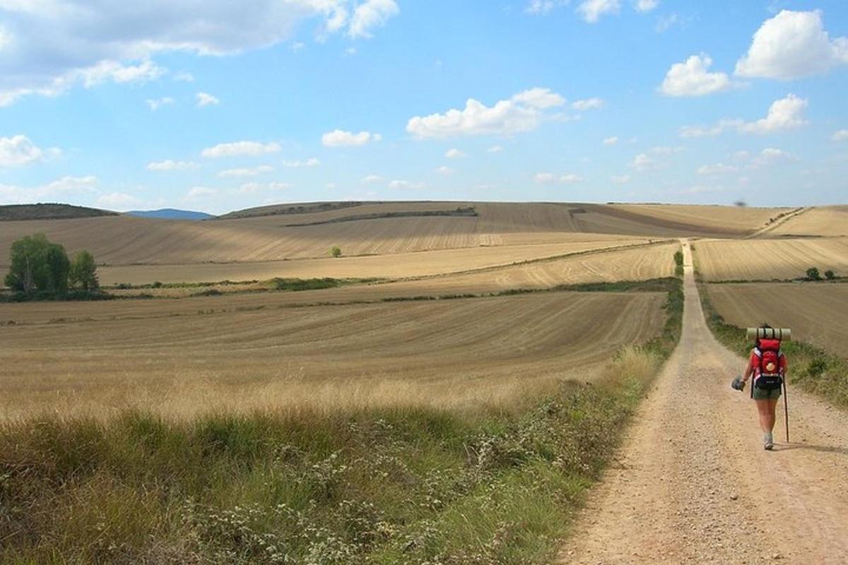 a person walking down a dirt road in a field