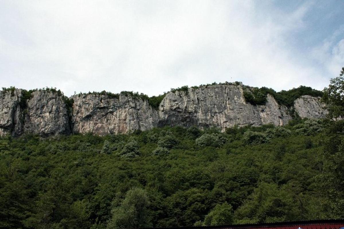 a mountain with trees and rocks in the background