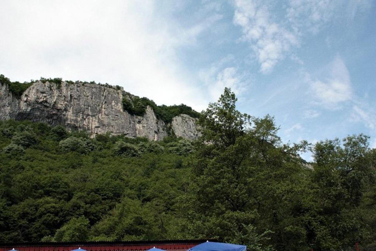 a rocky mountain with trees in front of it