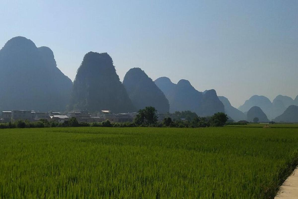 a field of green grass with mountains in the background