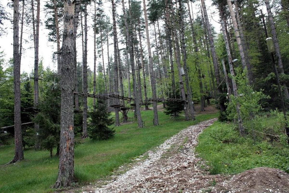 森林中间的一条土路