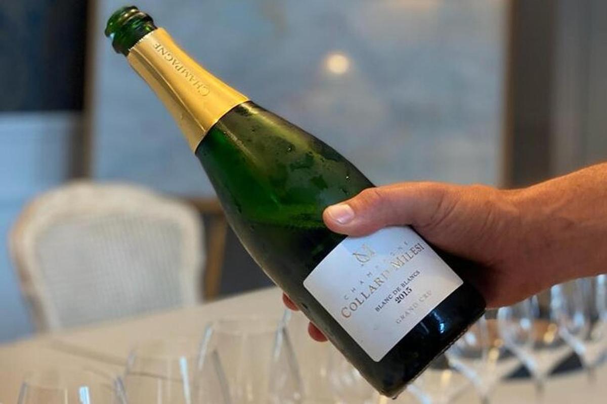 una persona tiene in mano una bottiglia di vino