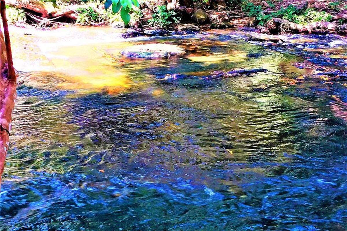 lukisan sungai dengan batu di dalam air