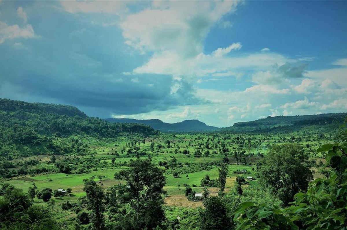 padang hijau dengan pokok dan haiwan di padang