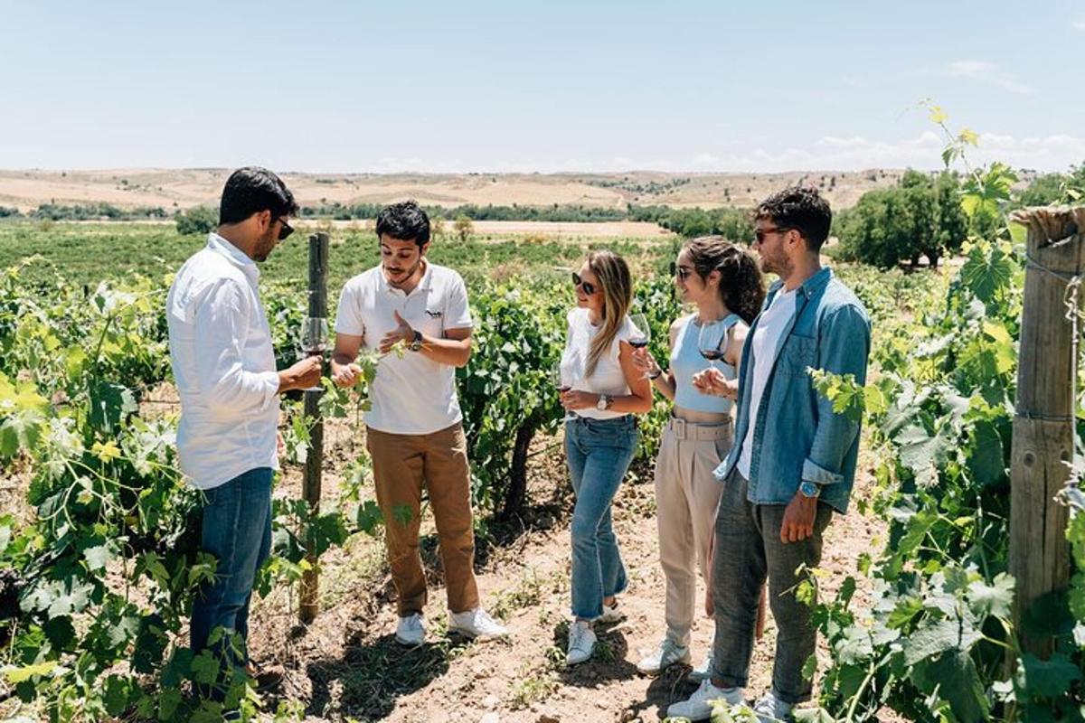 un gruppo di persone in piedi in un vigneto