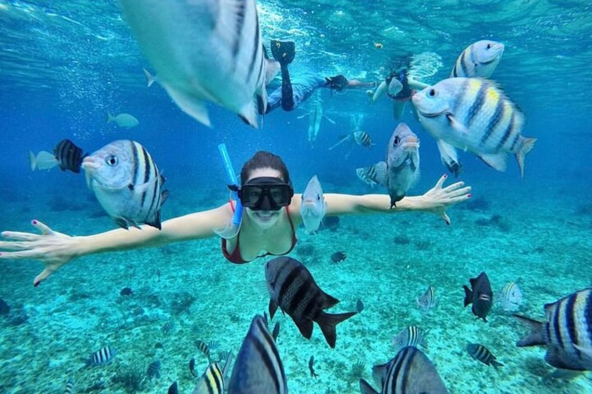 una persona en el agua con un grupo de peces