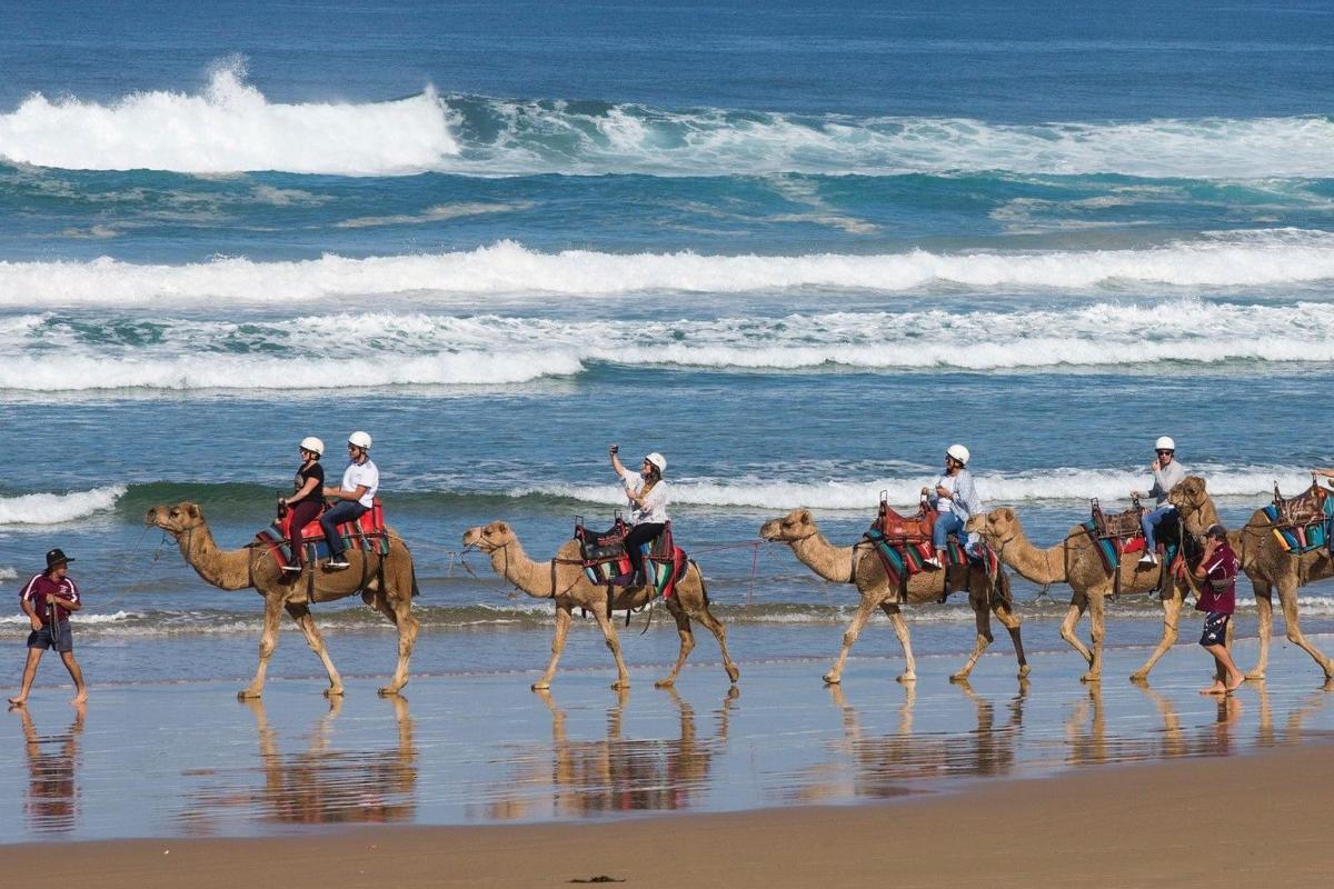 a group of people riding camels on the beach