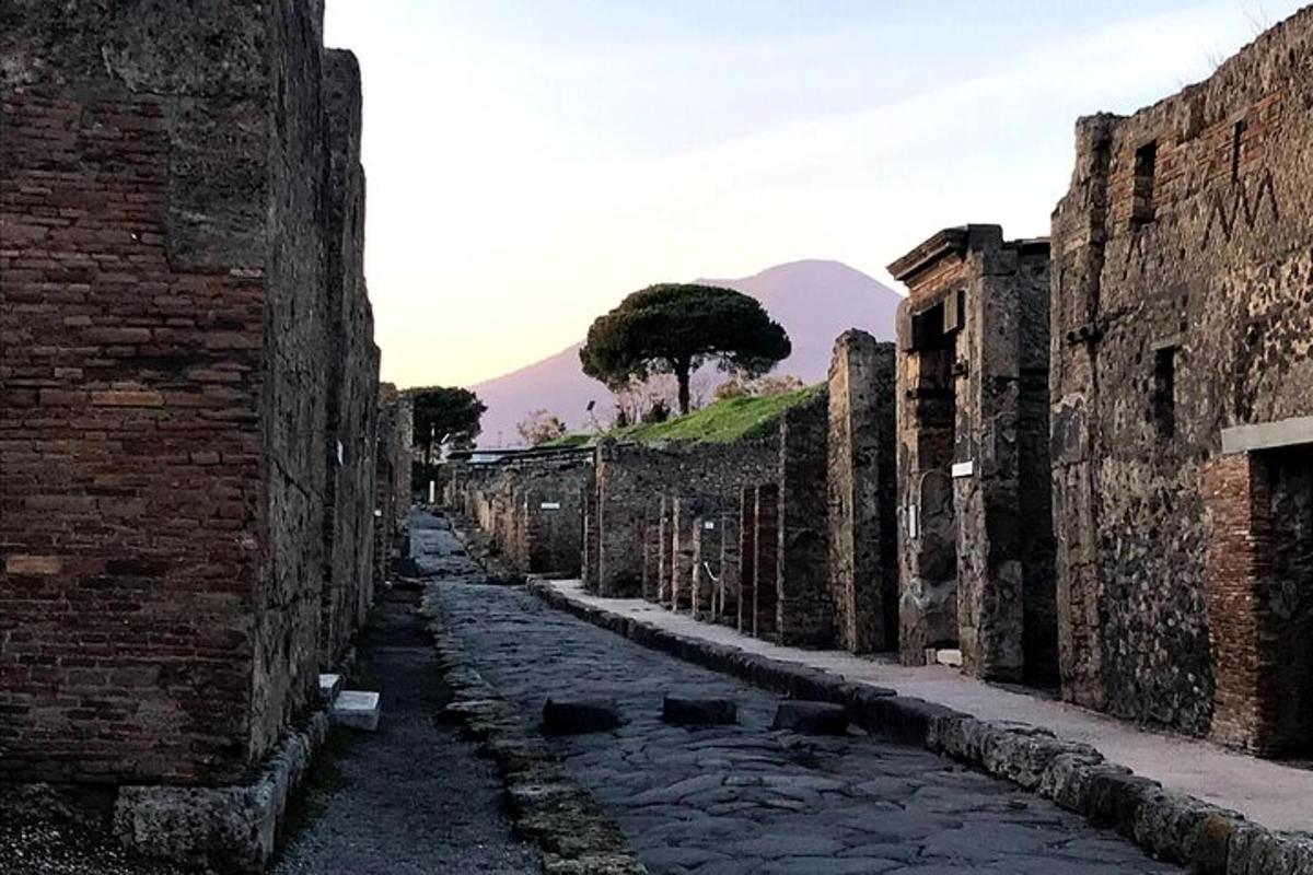Un callejón en un edificio antiguo con un árbol en la distancia.