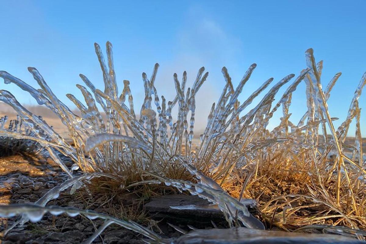 ein Grasfeld mit Frost darauf
