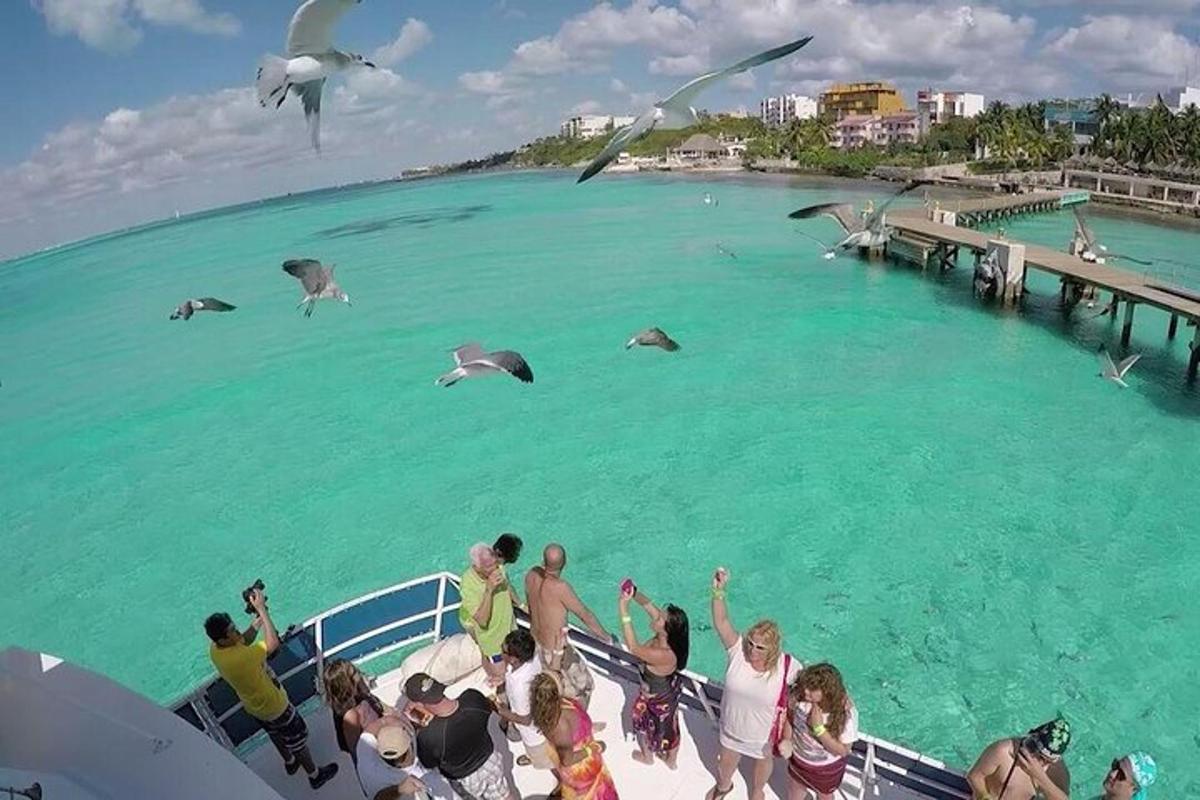 isang grupo ng mga tao sa isang bangka sa tubig na may mga dolphin