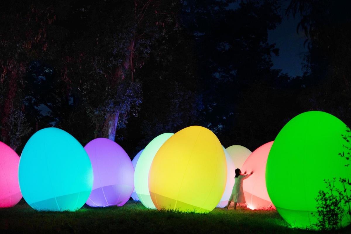 a person standing in front of a group of colored lights