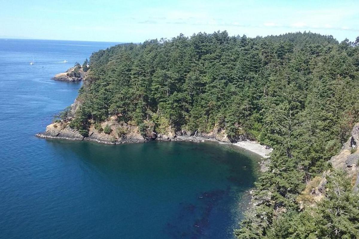 pemandangan udara pulau di lautan
