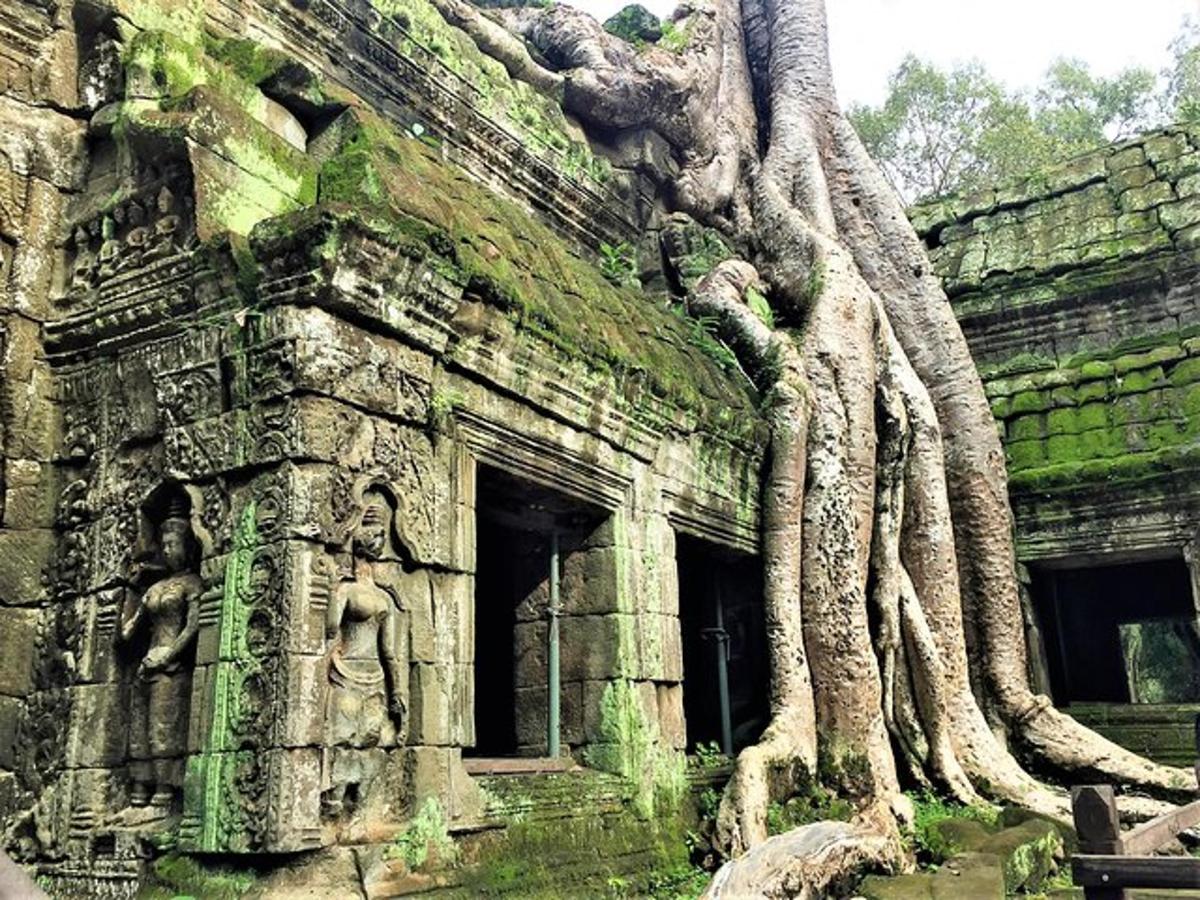 một tòa nhà có cây mọc ở bên hông