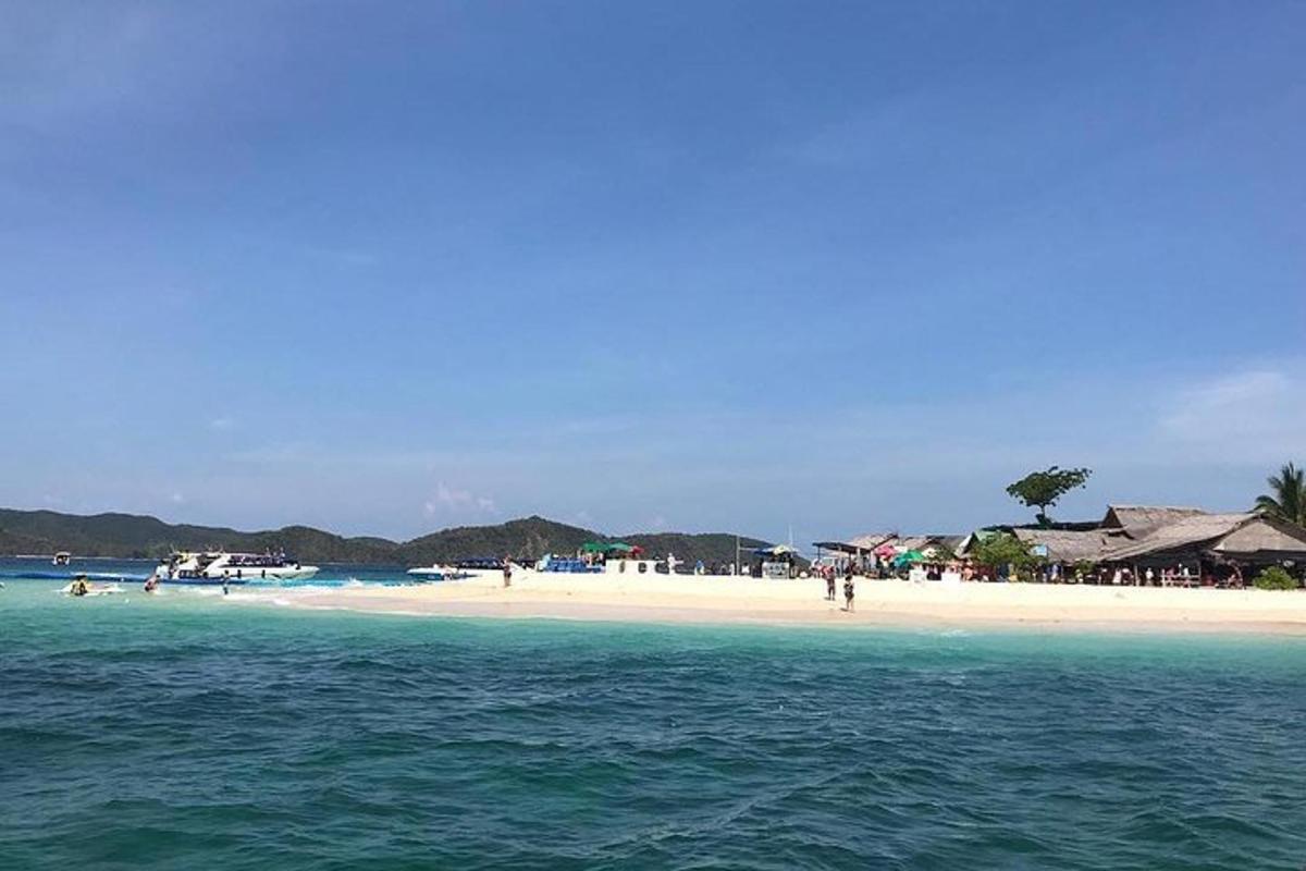一群人在水中的海滩