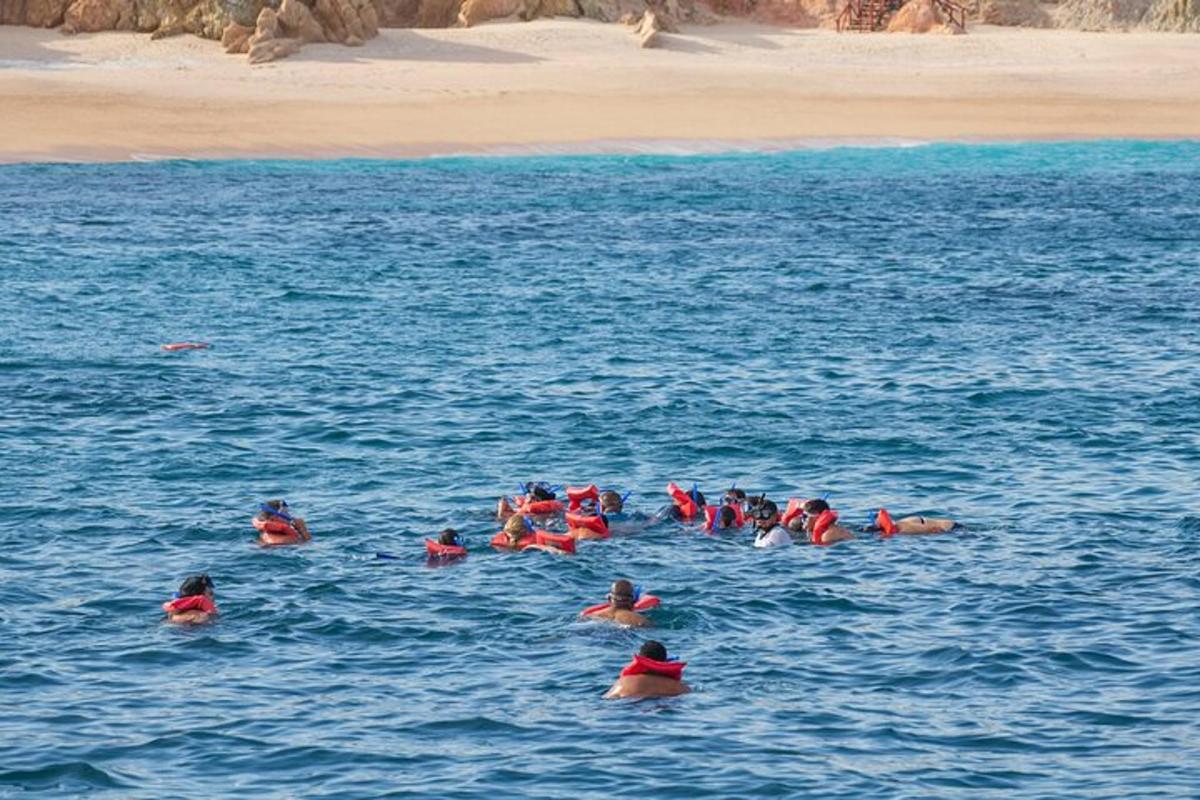 un gruppo di persone che nuotano nell'acqua