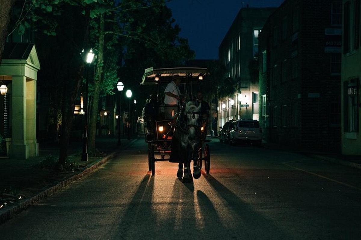 a horse drawn carriage on a street at night