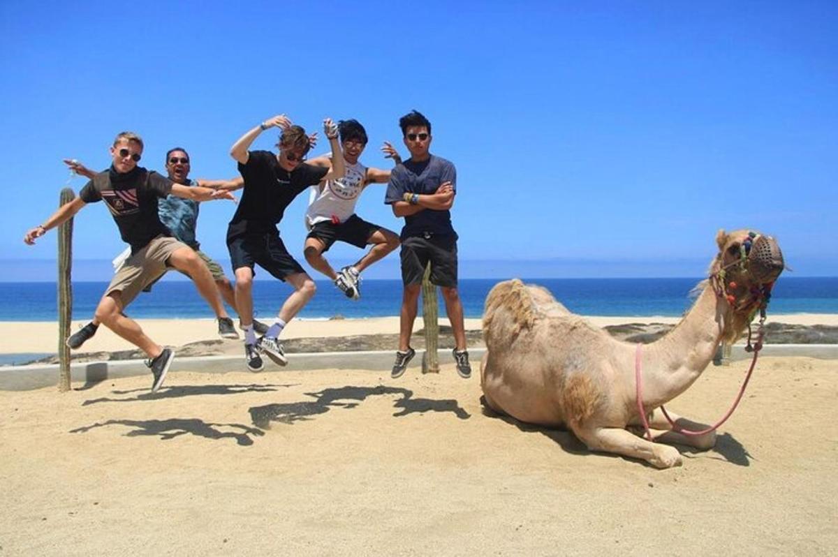 skupina moških, ki skačejo okoli kamele na plaži