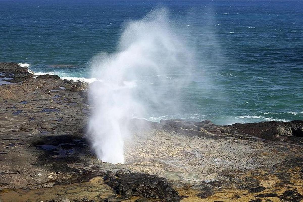 a geyser is spewing water on a rocky beach