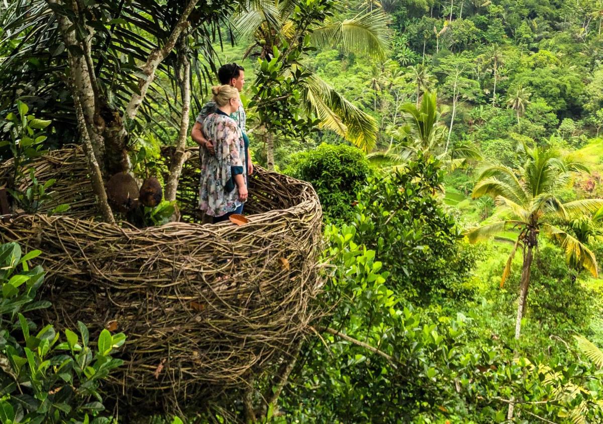 a man and a woman standing in a nest in a forest