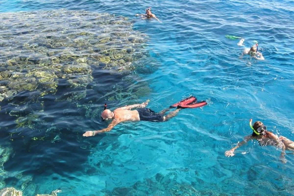 μια ομάδα ανθρώπων που κολυμπούν στο νερό