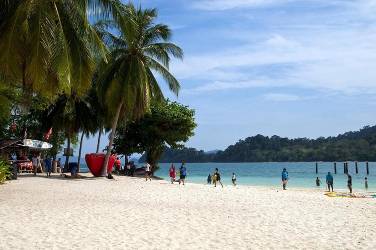a group of people on a beach near the water