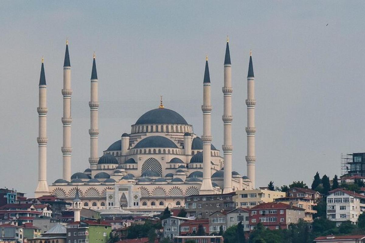 una grande moschea con cupole e minareti in una città