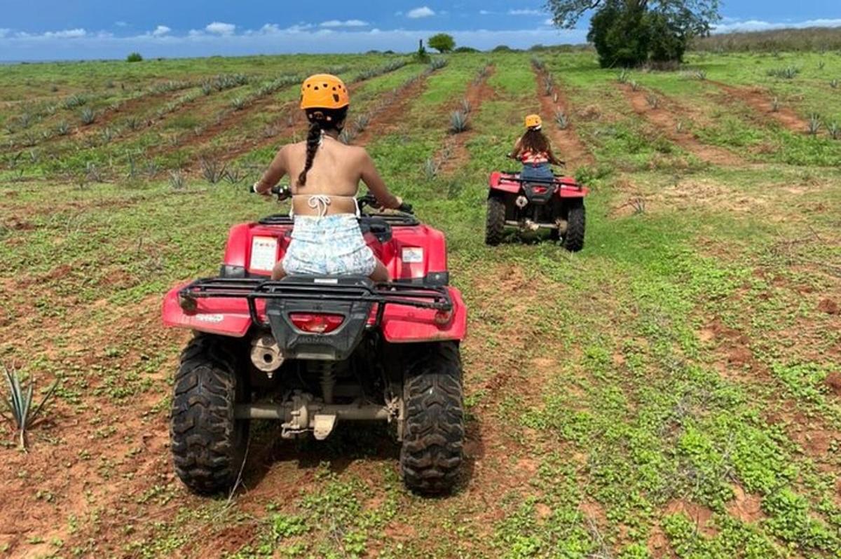 kaks inimest ATV-dega põllul sõitmas