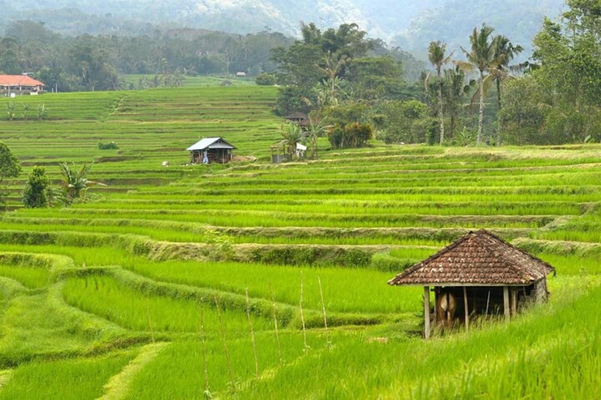 uma pequena cabana no meio de um campo verde