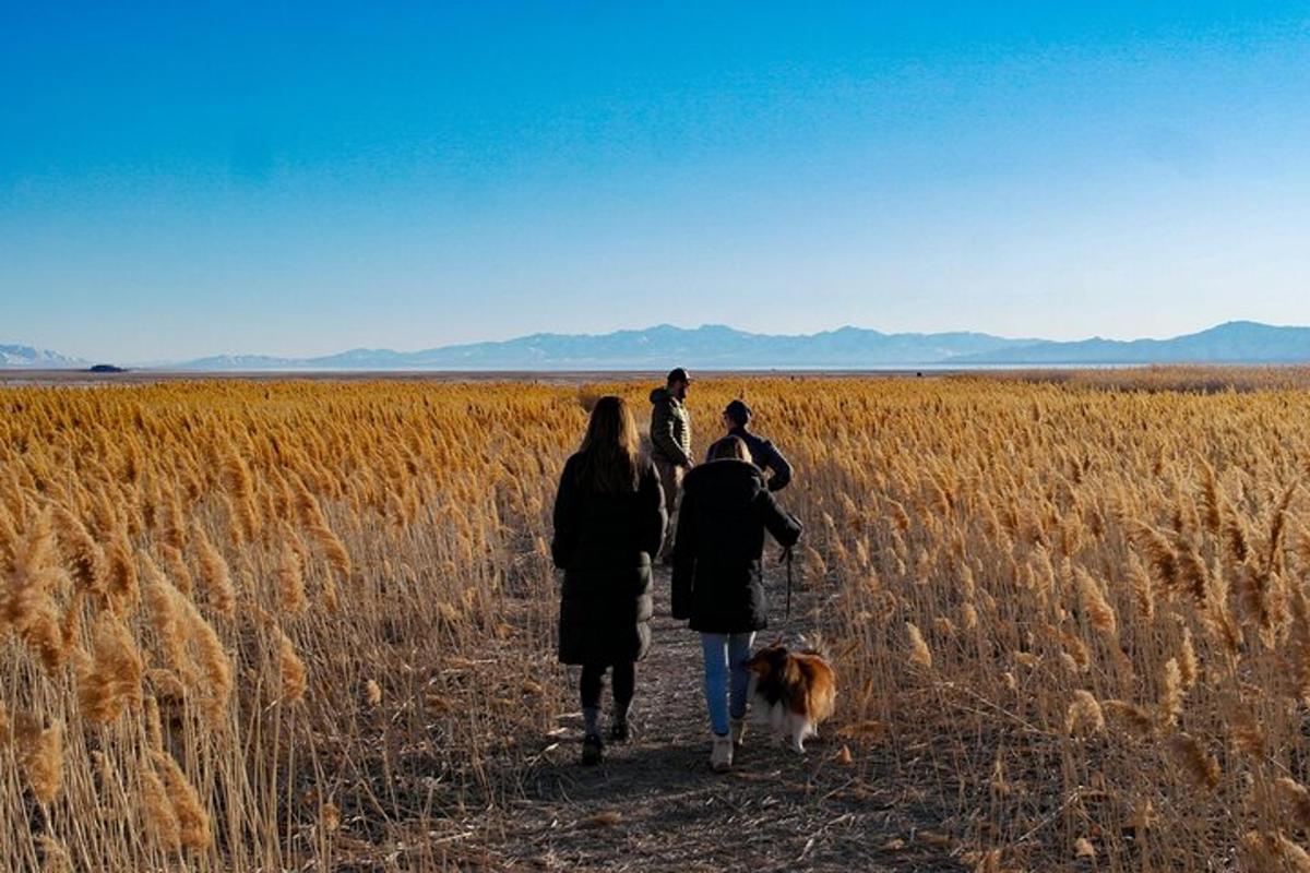 three people and a dog walking through a field