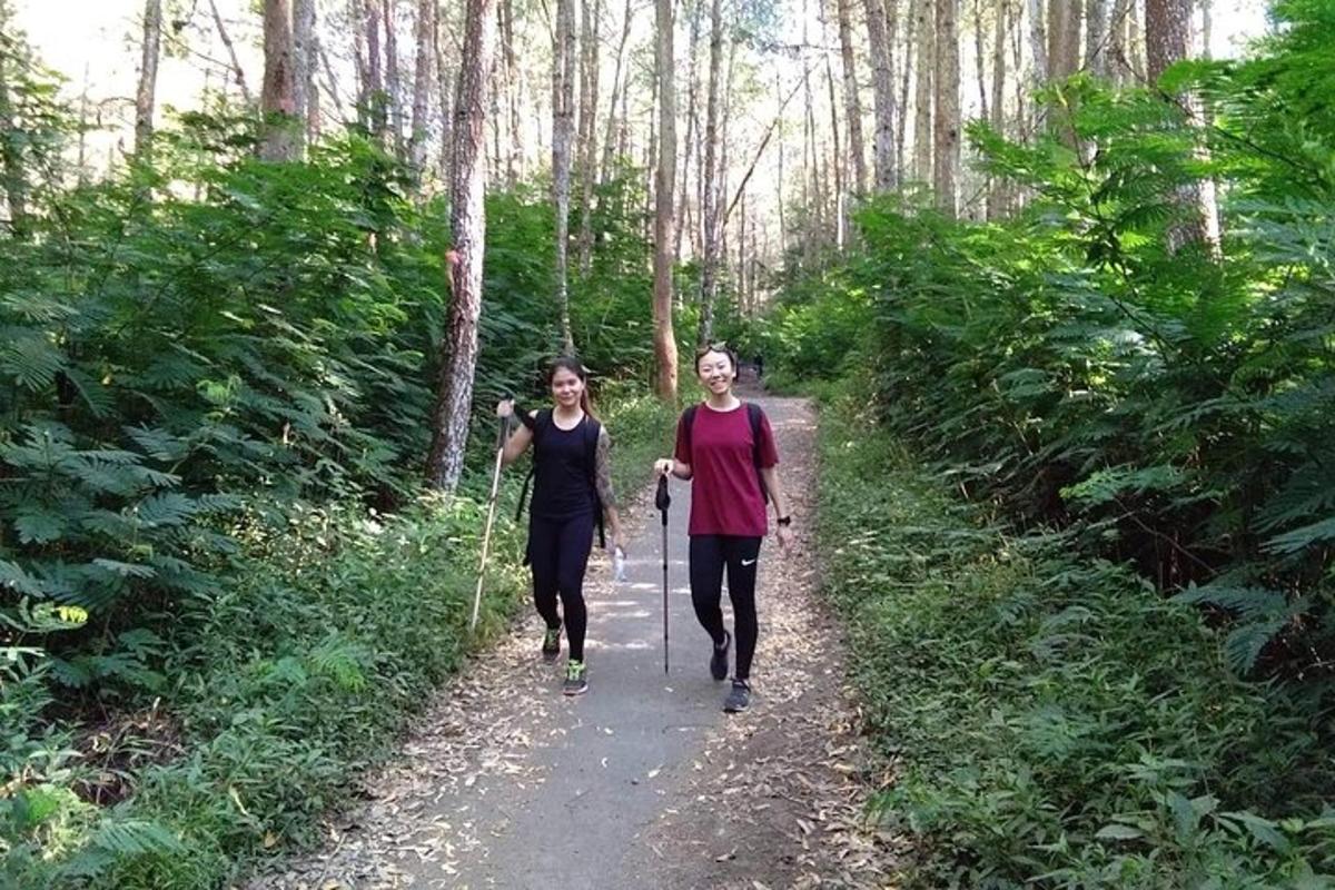 duas mulheres caminhando por uma trilha na floresta