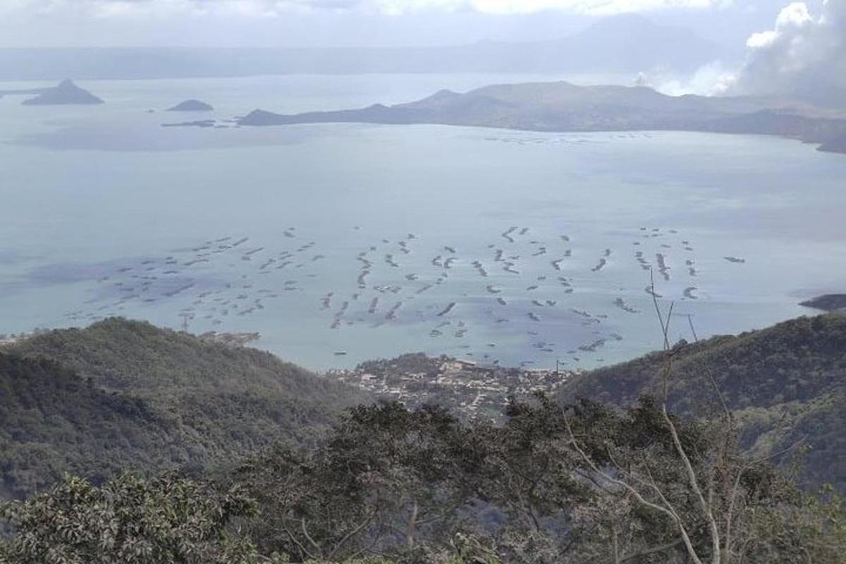 uno stormo di uccelli che sorvola uno specchio d'acqua