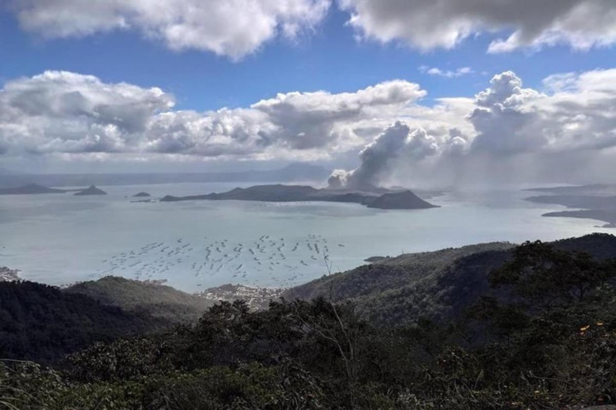 un gruppo di uccelli che volano nel cielo sopra l'oceano
