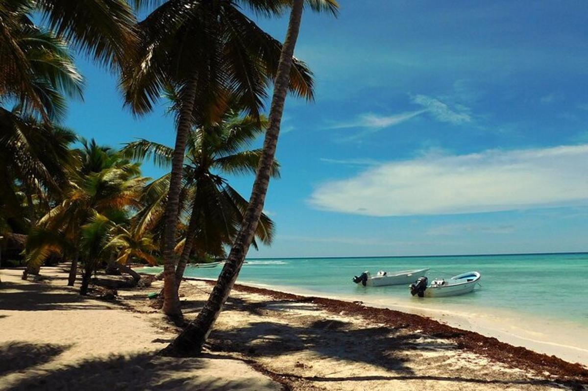 una spiaggia con palme e una barca in acqua